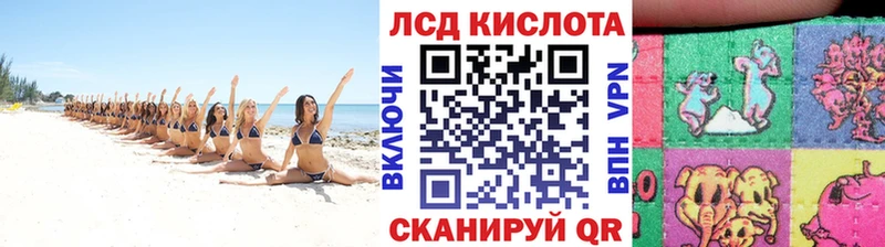 omg маркетплейс Калининград Марки NBOMe 1,5мг где найти наркотики